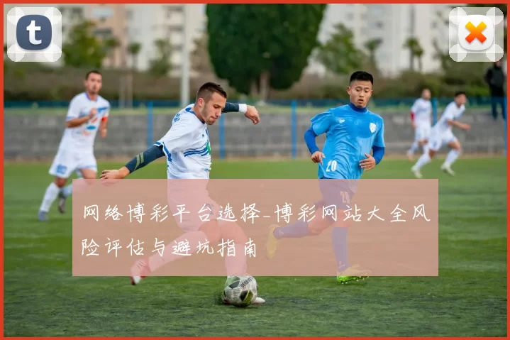 网络博彩平台选择_博彩网站大全风险评估与避坑指南