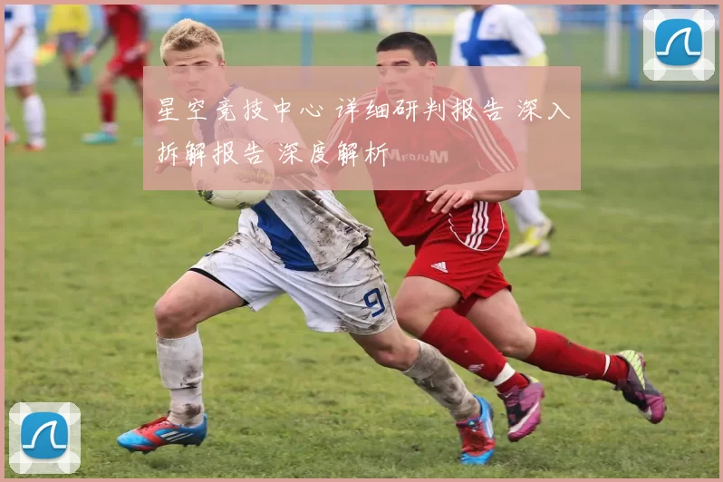 星空竞技中心 详细研判报告 深入拆解报告 深度解析