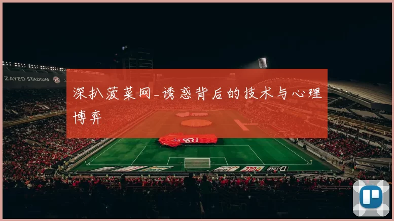深扒菠菜网_诱惑背后的技术与心理博弈