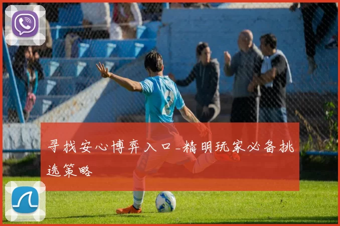 寻找安心博弈入口_精明玩家必备挑选策略