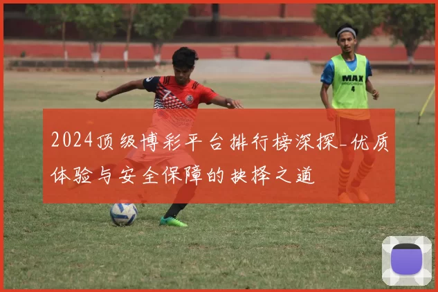2024顶级博彩平台排行榜深探_优质体验与安全保障的抉择之道