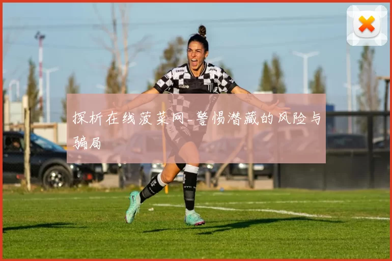 探析在线菠菜网_警惕潜藏的风险与骗局
