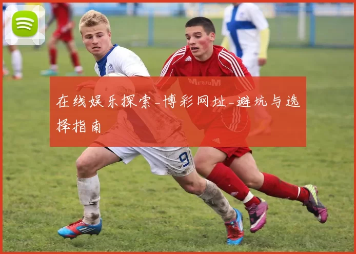 在线娱乐探索_博彩网址_避坑与选择指南