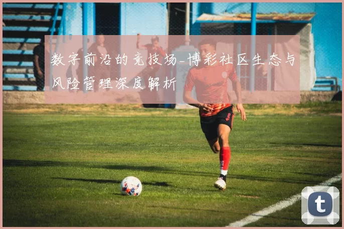 数字前沿的竞技场_博彩社区生态与风险管理深度解析