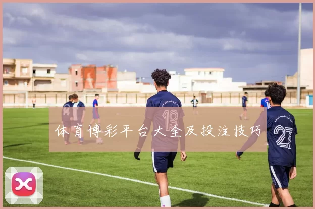 体育博彩平台大全及投注技巧