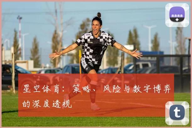 星空体育：策略、风险与数字博弈的深度透视