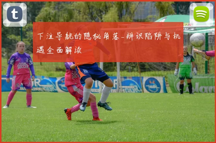 下注导航的隐秘角落_辨识陷阱与机遇全面解读