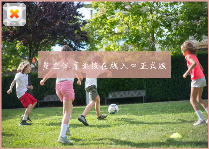 星空体育竞技在线入口正式版