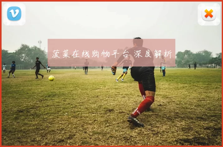 菠菜在线购物平台 深度解析