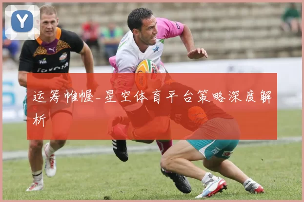 运筹帷幄_星空体育平台策略深度解析