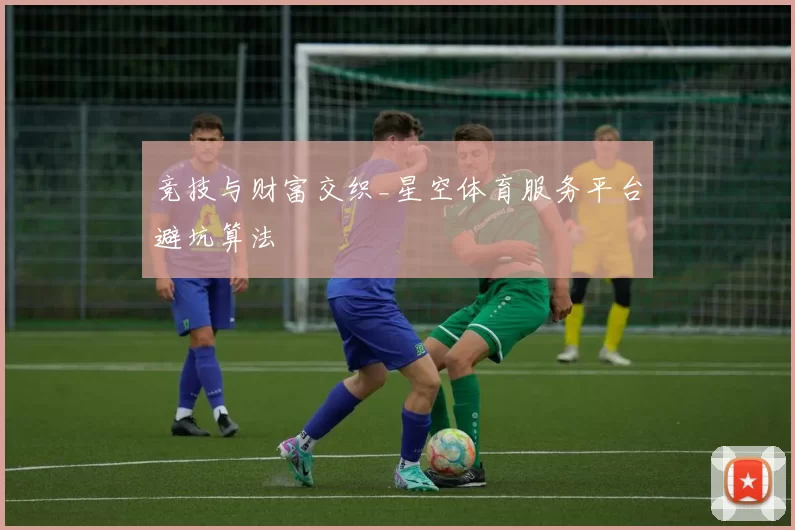 竞技与财富交织_星空体育服务平台避坑算法