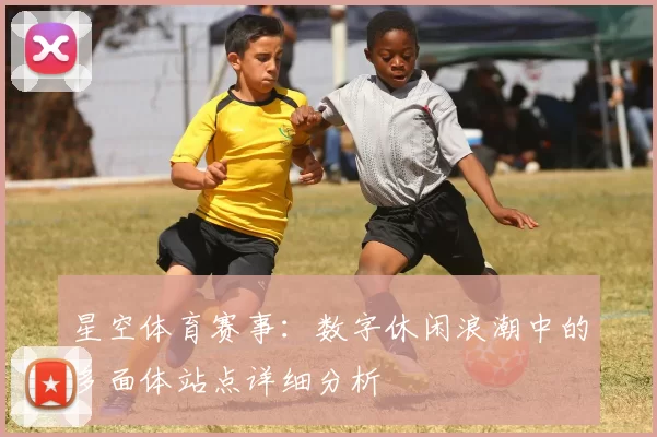 星空体育赛事：数字休闲浪潮中的多面体站点详细分析