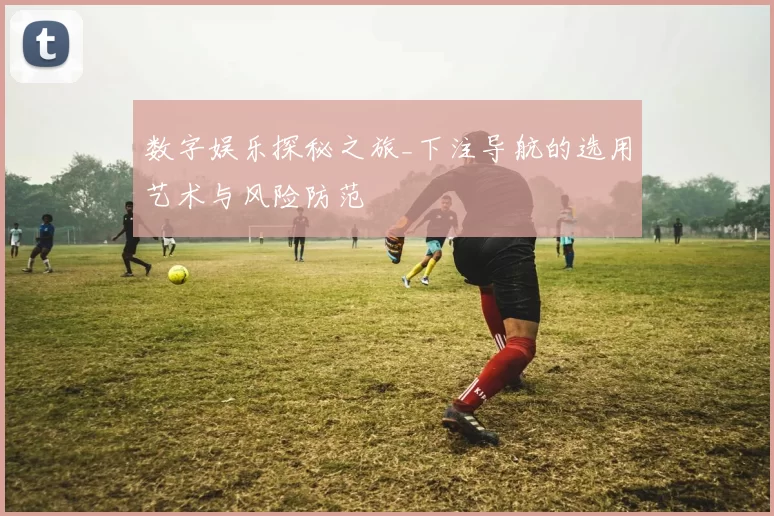 数字娱乐探秘之旅_下注导航的选用艺术与风险防范