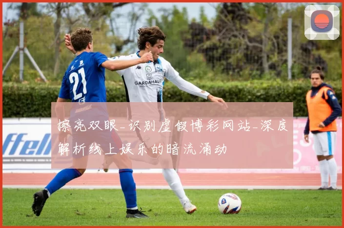 擦亮双眼_识别虚假博彩网站_深度解析线上娱乐的暗流涌动