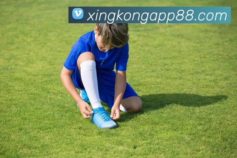 xingkong服务体系